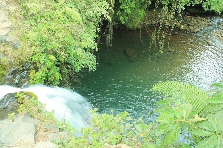 Benang Kelambu & Stokel (Waterfall Tour)
