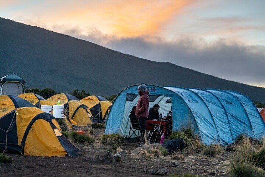 Altezza Travel - Kilimanjaro climb