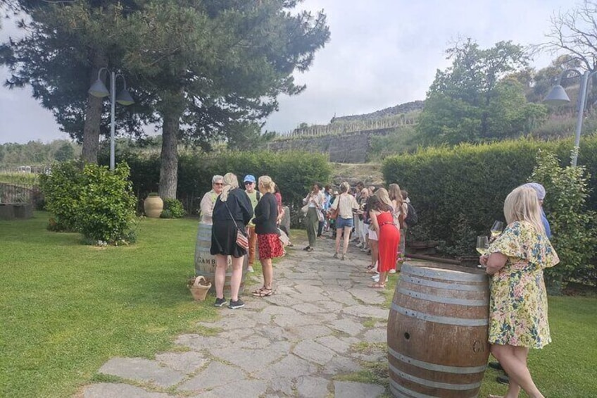 Wine Tasting and Village Tour from Taormina
