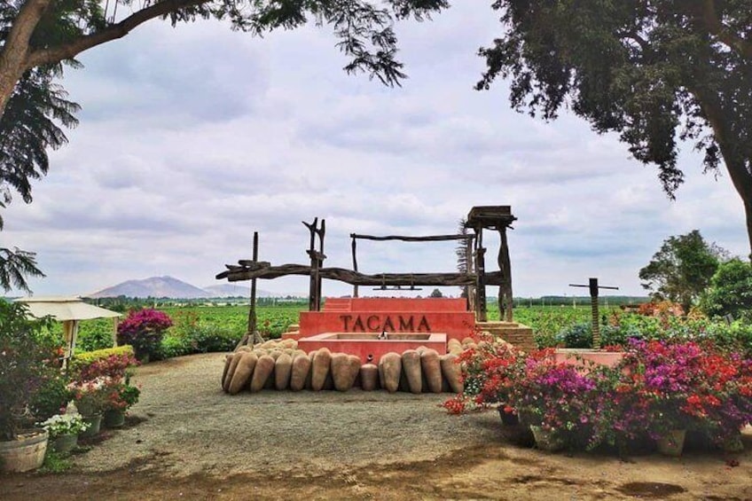 Winery and Pisco Distillery tour