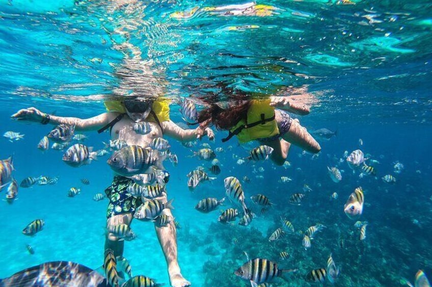 Boat and Snorkeling in West End (Blue Channel, The Aquarium, Turtle Crossing)