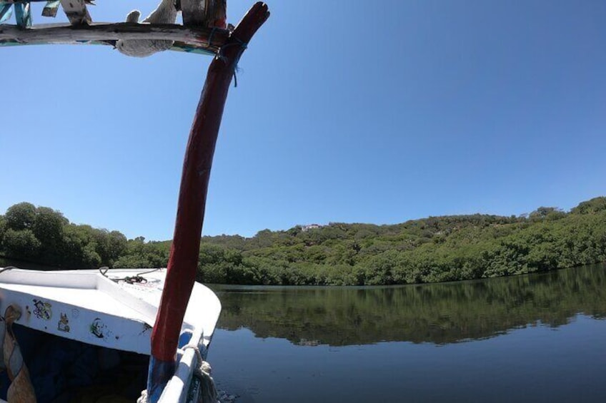 East End Tour (Mangroves, Punta Gorda, Port Royal) with Snorkeling Option