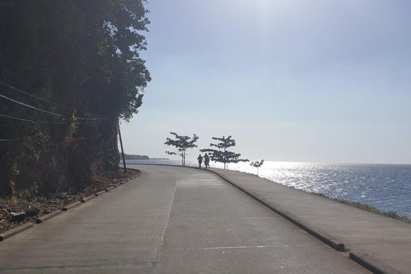 East End Tour (Mangroves, Punta Gorda, Port Royal) with Snorkeling Option