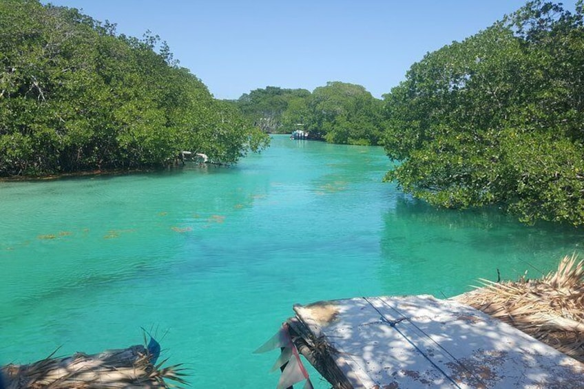 East End Tour (Mangroves, Punta Gorda, Port Royal) with Snorkeling Option