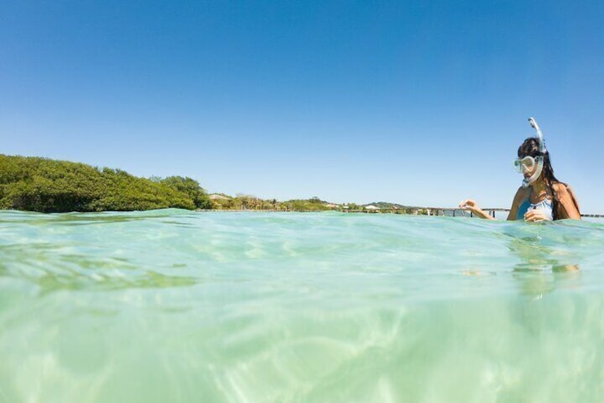 East End Tour (Mangroves, Punta Gorda, Port Royal) with Snorkeling Option