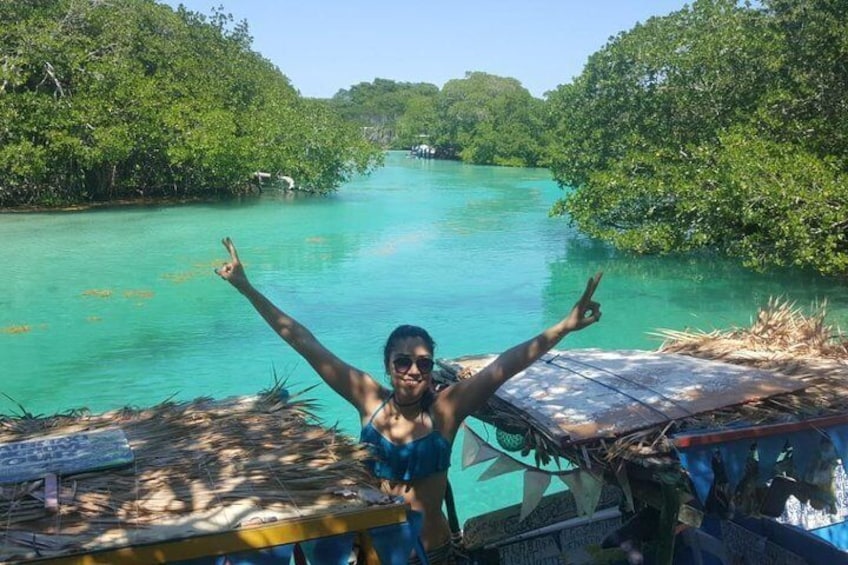 East End Tour (Mangroves, Punta Gorda, Port Royal) with Snorkeling Option