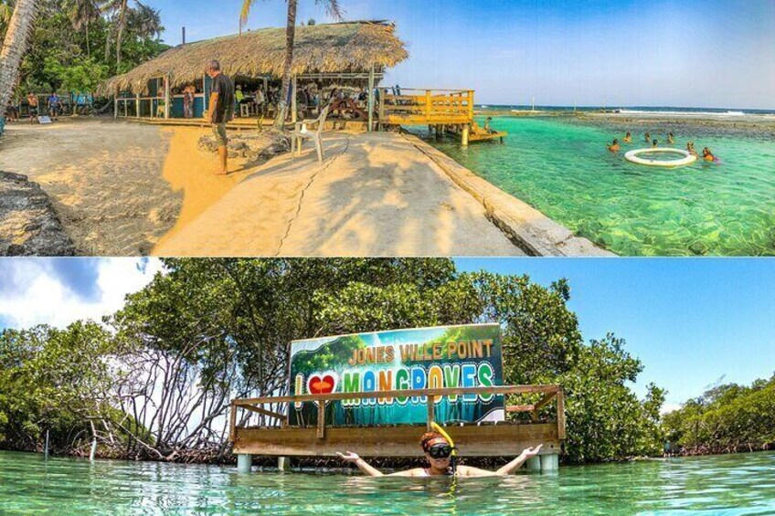 East End Tour (Mangroves, Punta Gorda, Port Royal) with Snorkeling Option