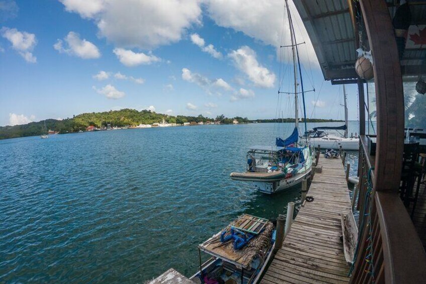 East End Tour (Mangroves, Punta Gorda, Port Royal) with Snorkeling Option