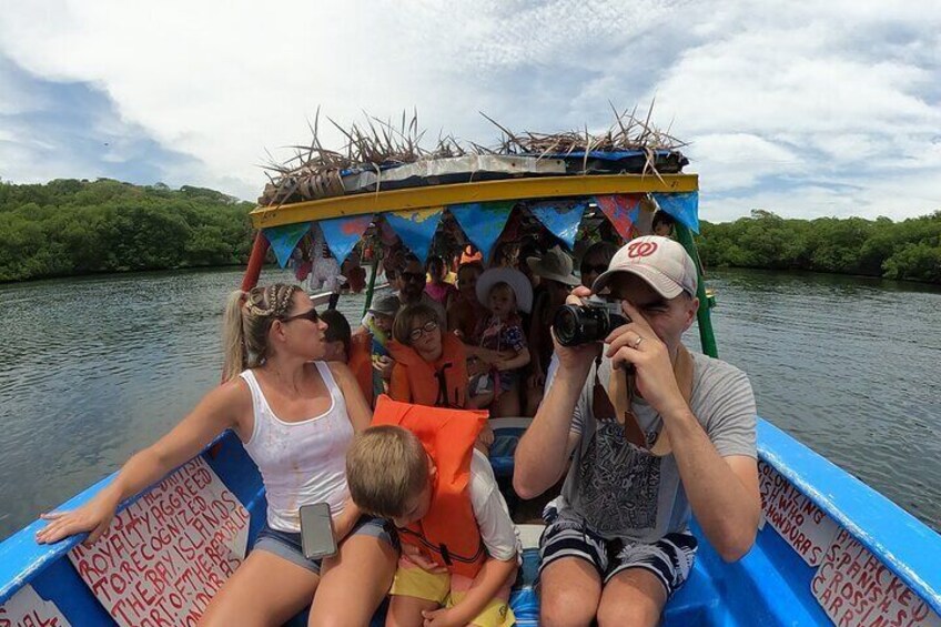 East End Tour (Mangroves, Punta Gorda, Port Royal) with Snorkeling Option