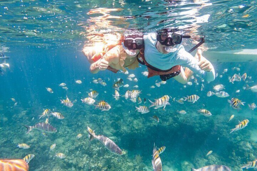 Kayak and Snorkeling Adventures in West End
