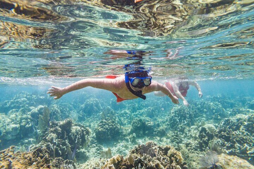 Kayak and Snorkeling Adventures in West End