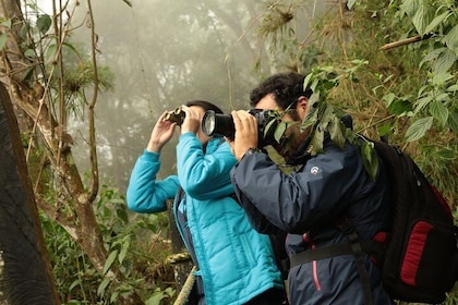 Day Trip to Chicaque National Park: Cloud Forest.