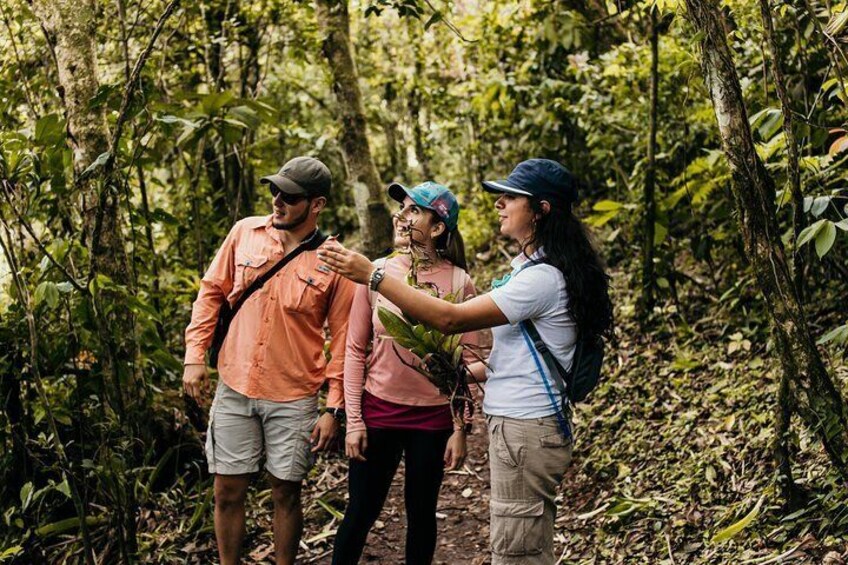 Ipala Lagoon and Volcano Day Tour