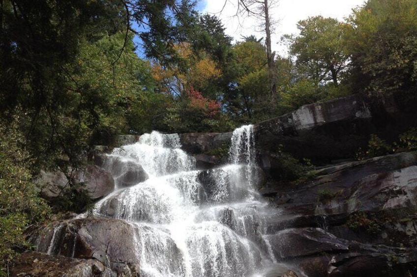 Old Growth Forest Cascade