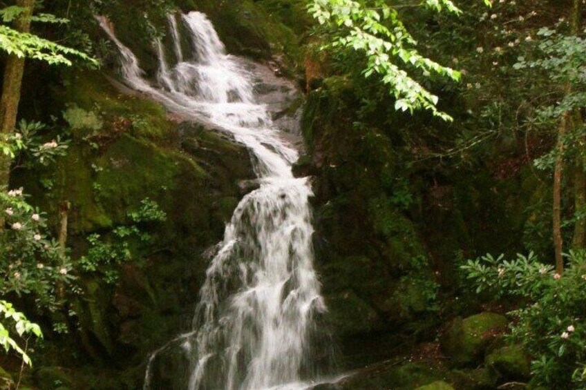 Spring Smokies Waterfall