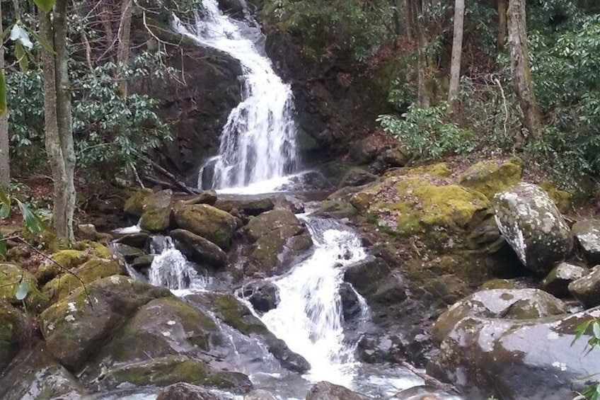 Beautiful Waterfall