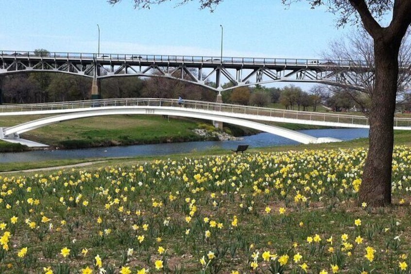 eBike Tour of Fort Worth