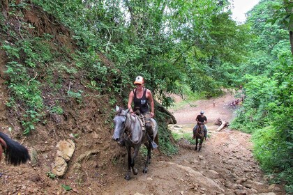 Discover the nature horseback riding in natural reserve