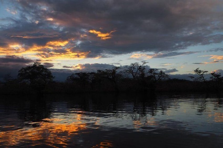 Cuyabeno lake
