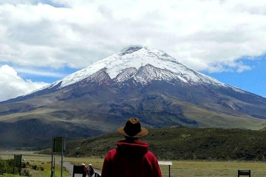 Cotopaxi Hike & Horse