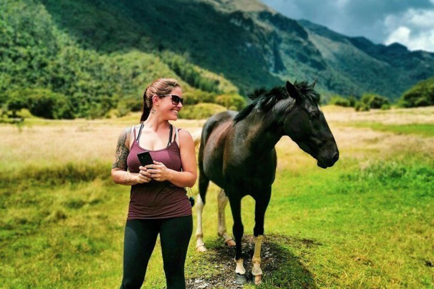 Horses and selfies