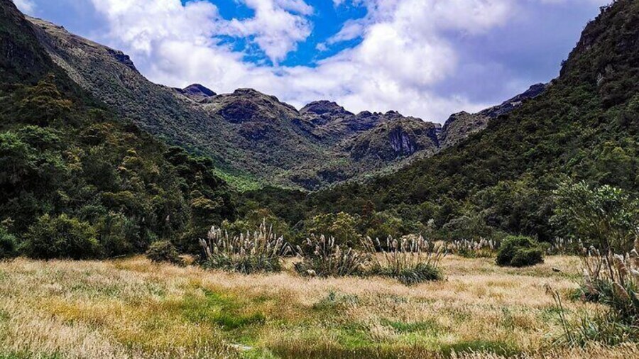 Hike El Cajas - Beyond the Common Trail