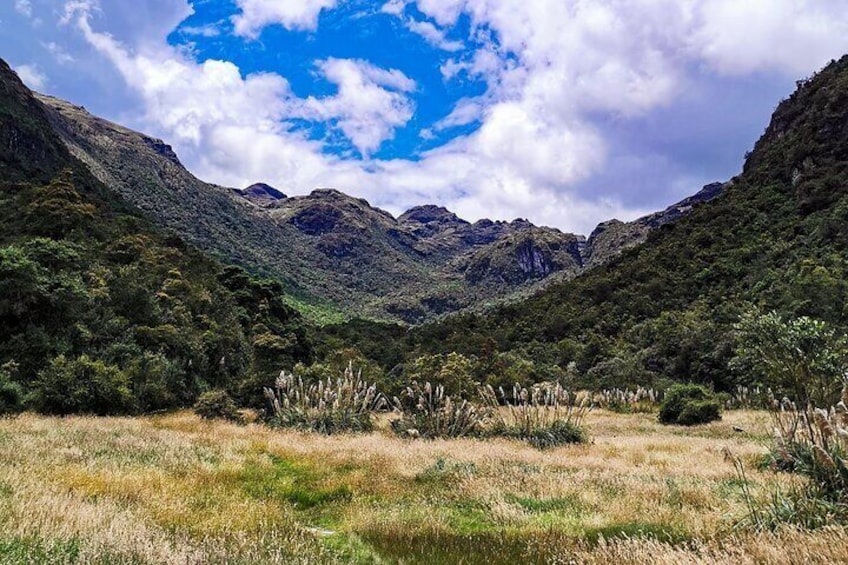 Hike El Cajas - Beyond the Common Trail