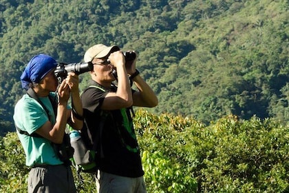 Wildlife Encounter Mindo Tour from Quito