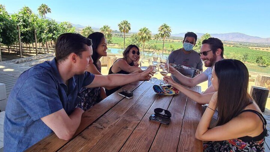 Guadalupe Wine Valley Tour