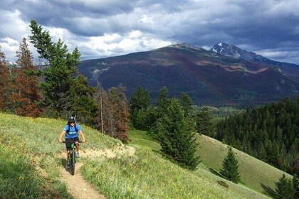 3hr Private Mountain Bike Tour in Jasper National Park