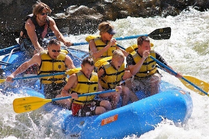 Raft the Colorado River through Glenwood Springs - Half Day Adventure