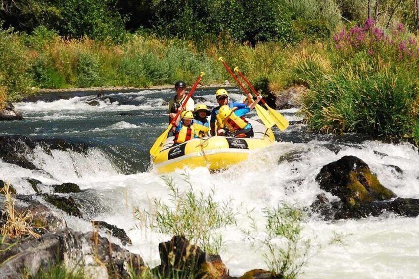 Half-Day Rogue River Rafting with Indigo Creek