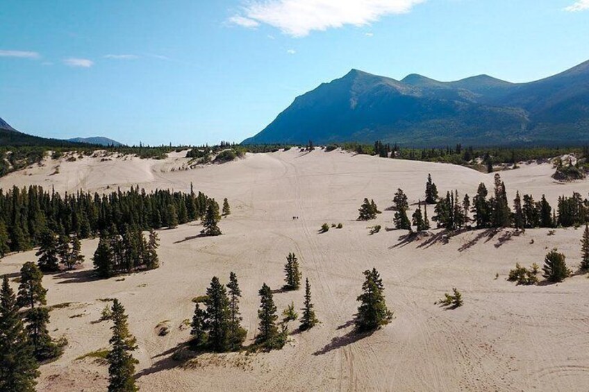 Day-Trip To Skagway - Gateway to the Klondike Goldrush