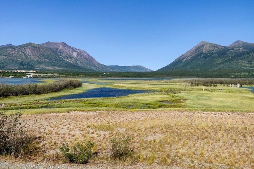 Day-Trip To Skagway - Gateway to the Klondike Goldrush