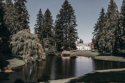 The Bloedel Reserve & Sightseeing