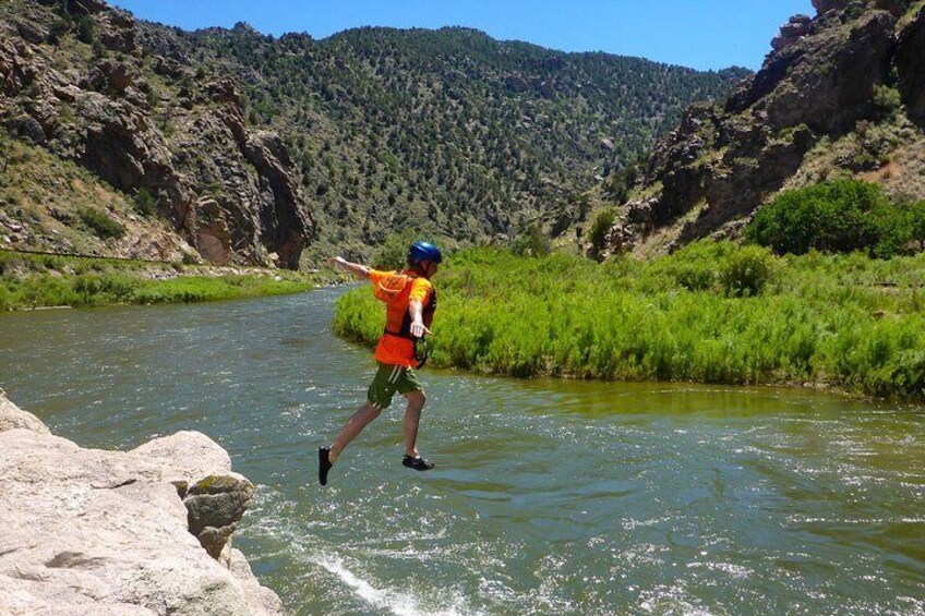 Taking the plunge to "Swim the Ark!"