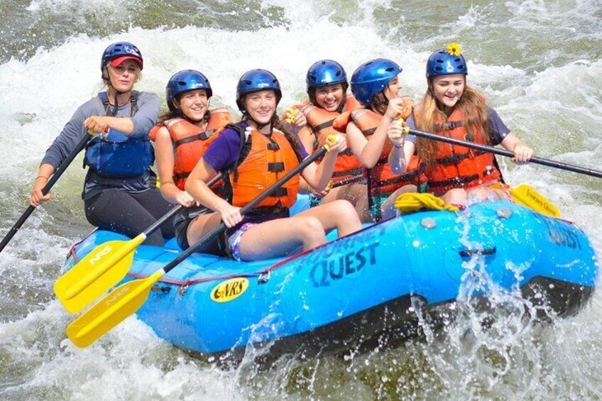 These trips are perfect for groups and families!