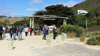 One Day Great Ocean Road Tour