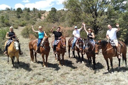 1.5 Hour Horseback Ride