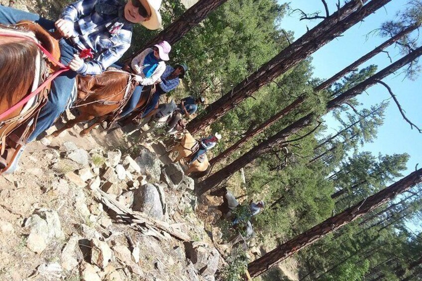 Family Ride