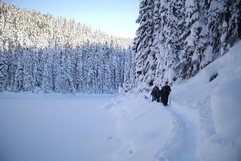 Snowshoe Tours