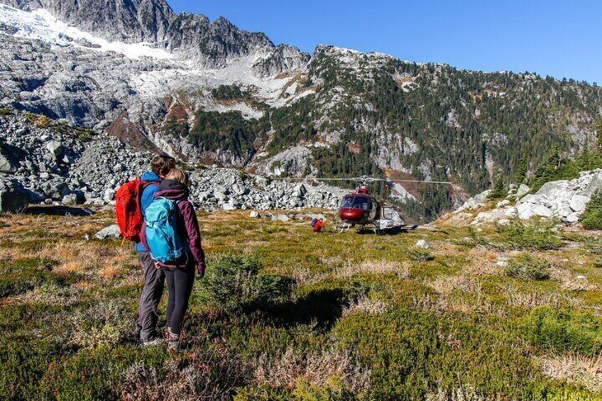Whistler Guided Day Hiking