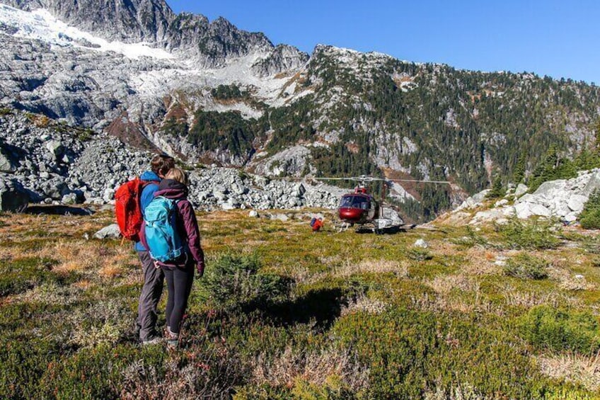 Whistler Guided Day Hiking