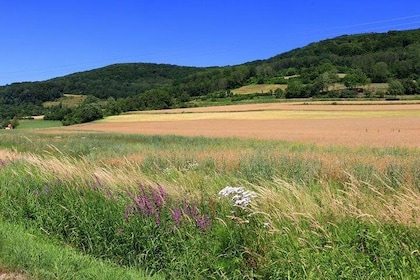 Bamberg Countryside Breweries Beer Hike Food Experience (departs Bamberg)