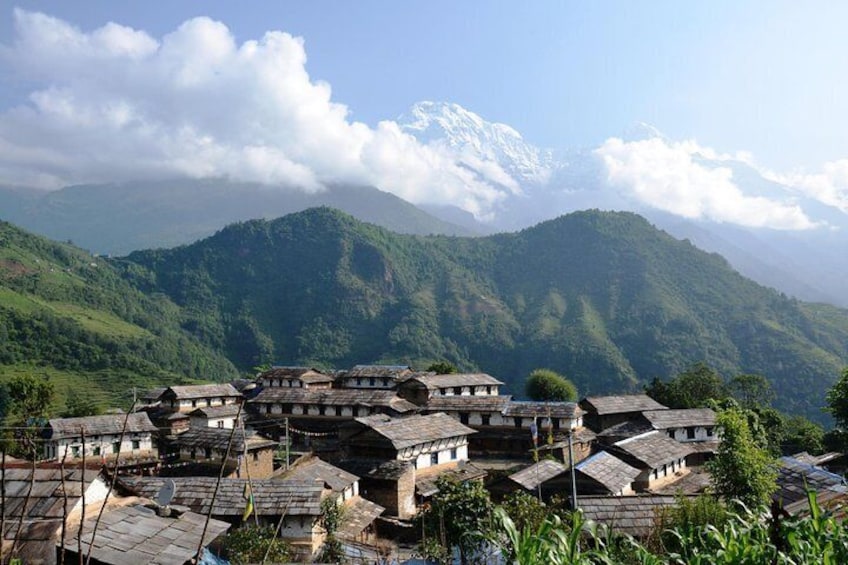 3-Day Ghandruk Loop Trek from Pokhara