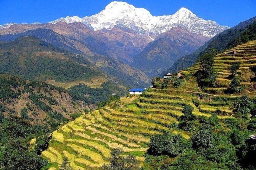 3-Day Ghandruk Loop Trek from Pokhara