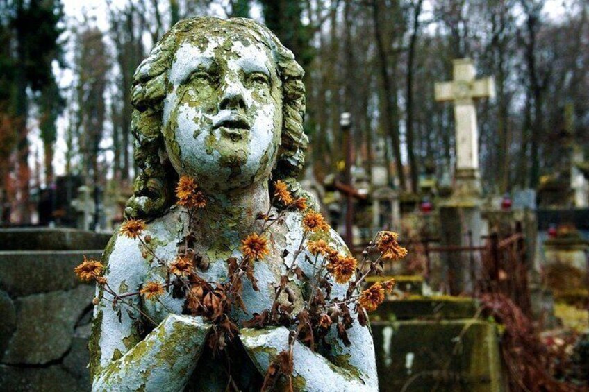 2-Hour Lviv Lychakiv Cemetery Private Tour