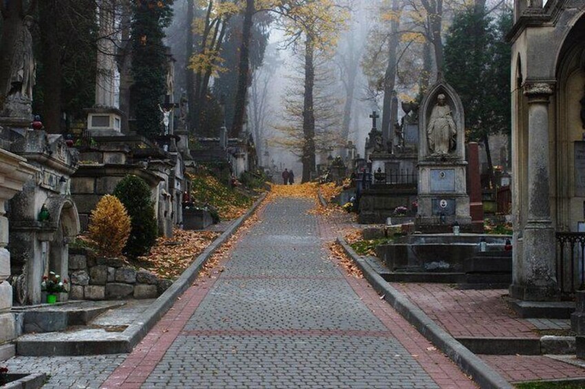 2-Hour Lviv Lychakiv Cemetery Private Tour