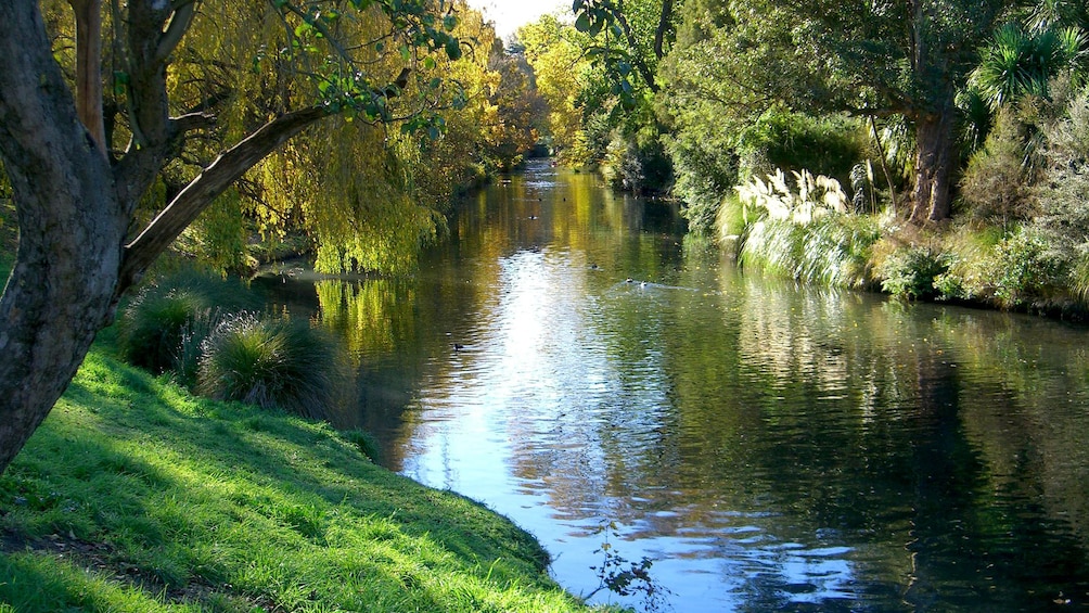 Body of water in Christchurch City Tour in Christchurch New Zealand. 