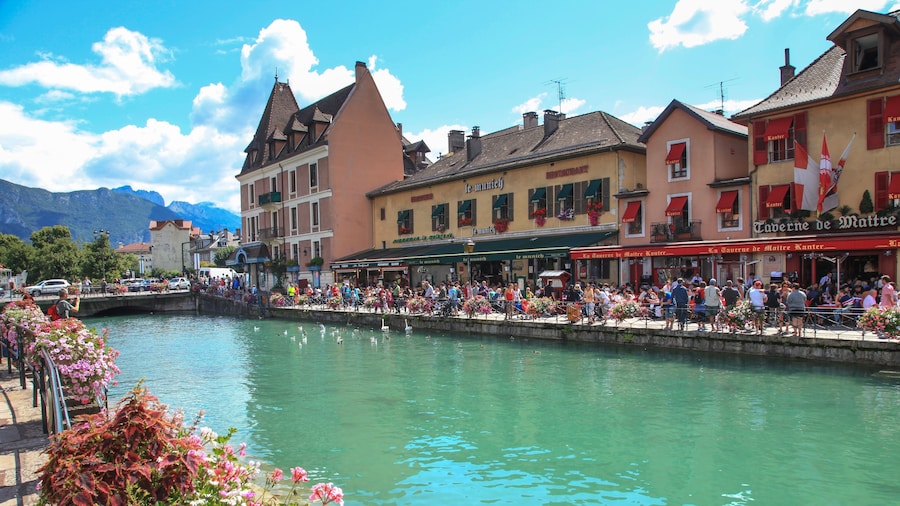 Annecy, Venice of the Alps Private Guided tour
